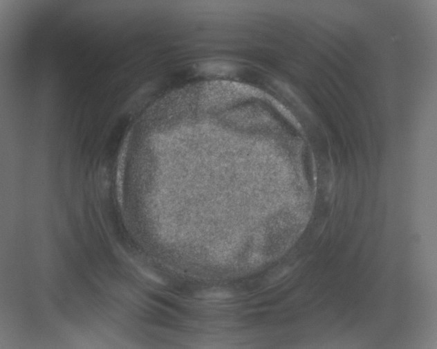 X0000081350551200702082257