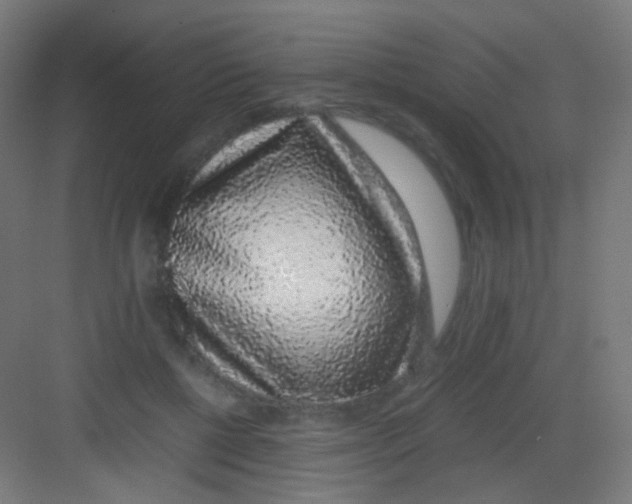 X0000081350552200702082257