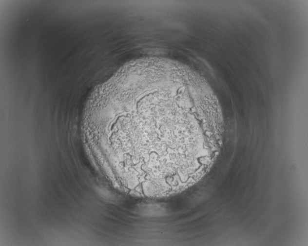 X0000081350553200702082257