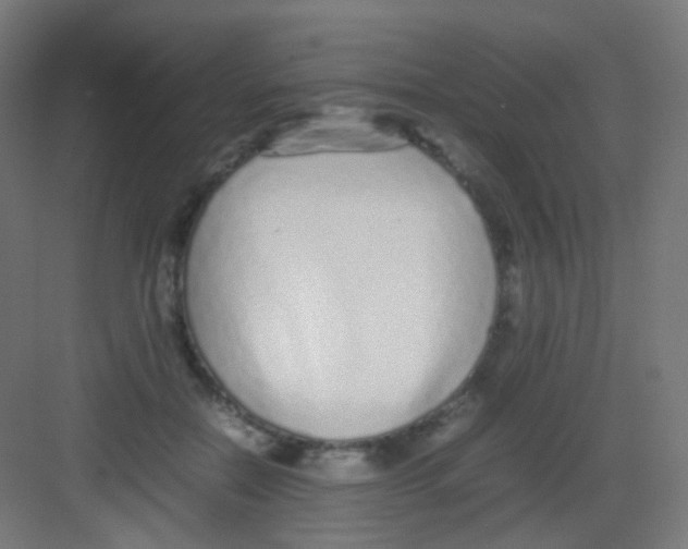 X0000081350554200702082257