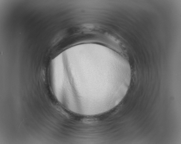 X0000081350556200702082257