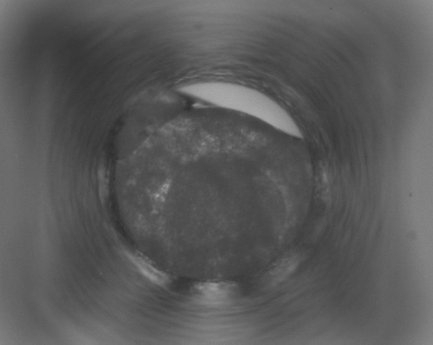 X0000081350558200702082257