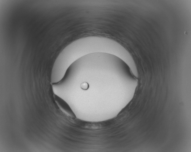 X0000081350559200702082257