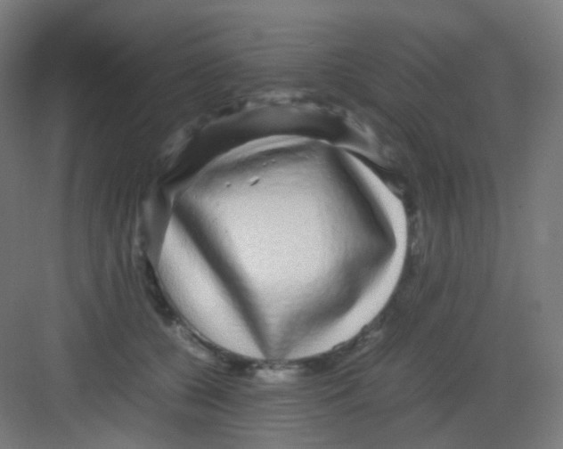 X0000081350560200702082257