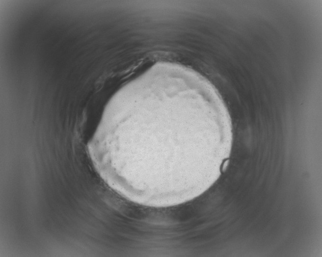 X0000081350561200702082257