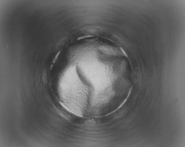 X0000081350562200702082257