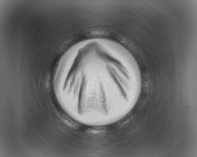 X0000081350563200702082257