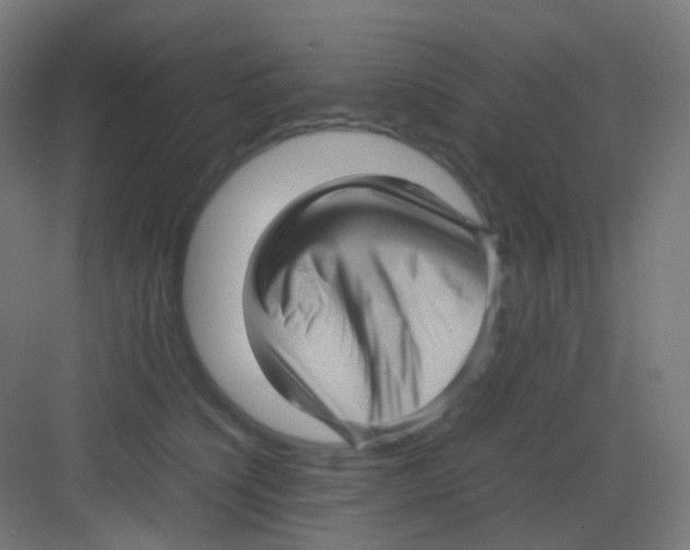 X0000081350564200702082257