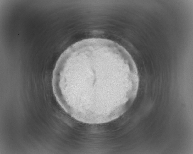 X0000081350565200702082257