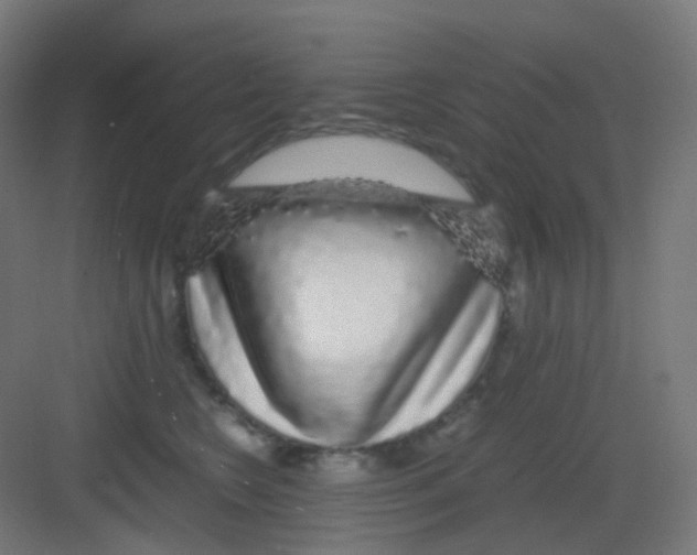 X0000081350566200702082257