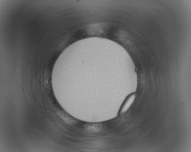 X0000081350567200702082257