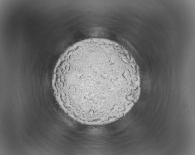 X0000081350569200702082257