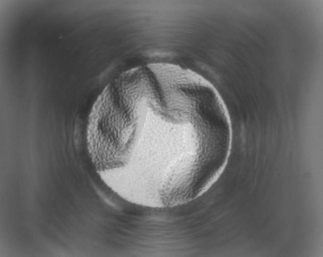 X0000081350570200702082257