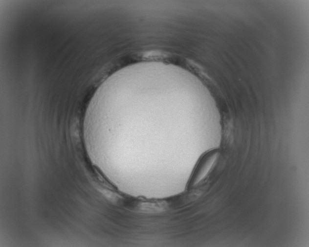 X0000081350571200702082257