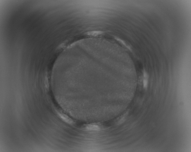 X0000081350572200702082257