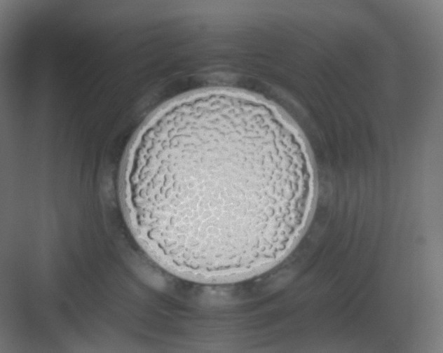 X0000081350573200702082257