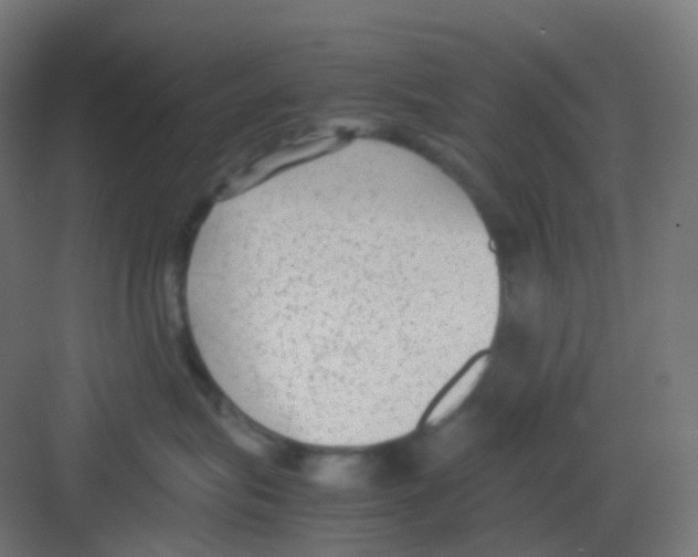 X0000081350575200702082257