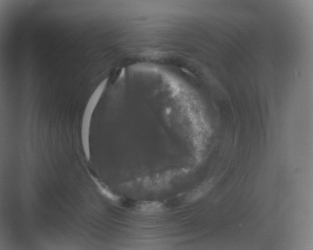 X0000081350576200702082257