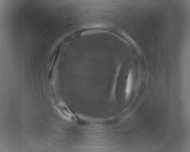 X0000081350577200702082257