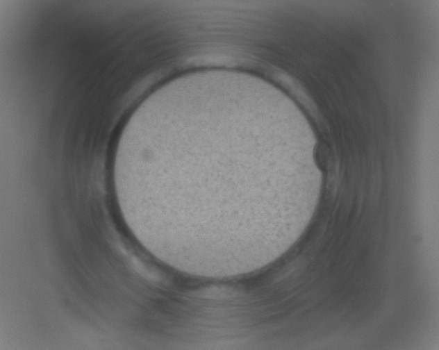 X0000081350578200702082257