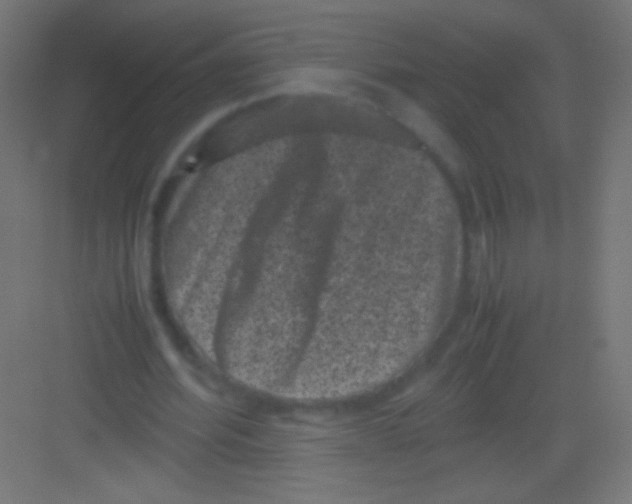 X0000081350580200702082257