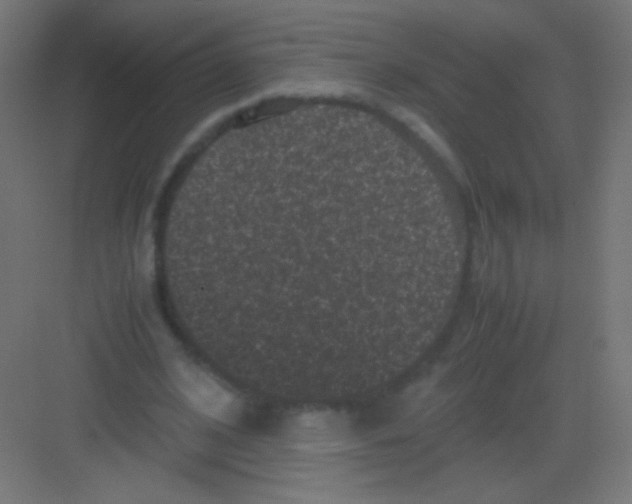 X0000081350584200702082257