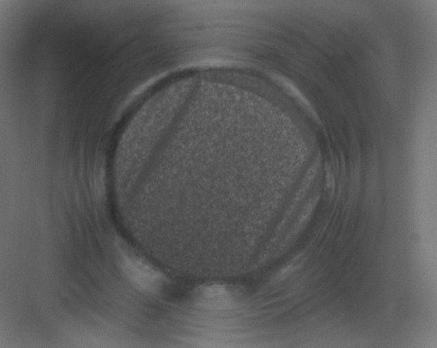 X0000081350588200702082257