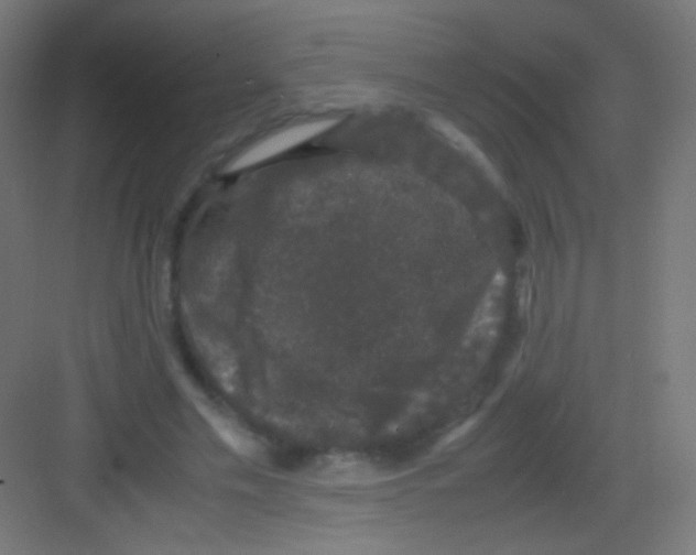 X0000081350589200702082256