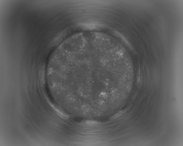 X0000081350590200702082256