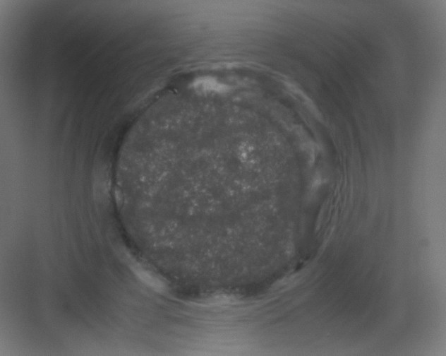 X0000081350593200702082256