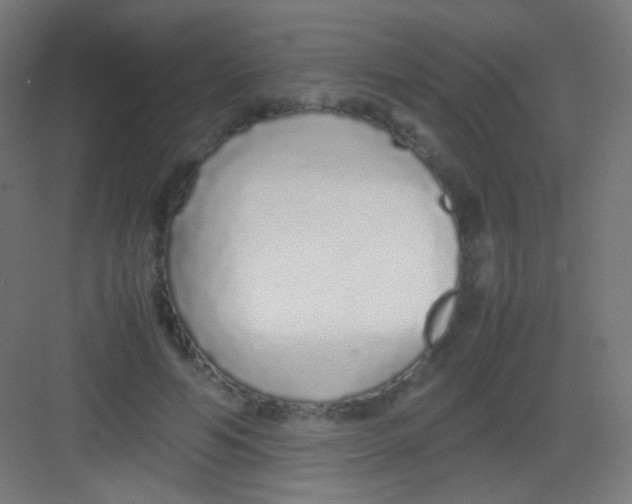 X0000081350594200702082256