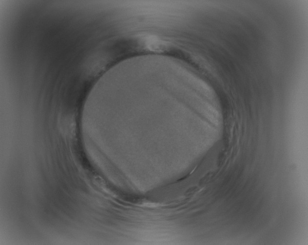 X0000081350595200702082256