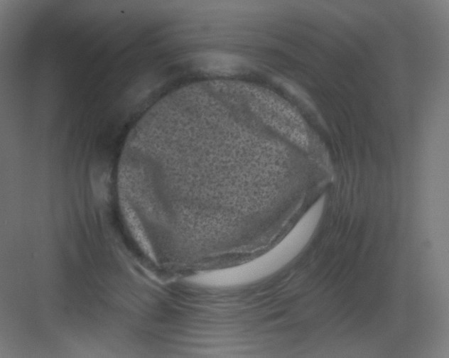 X0000081350596200702082256