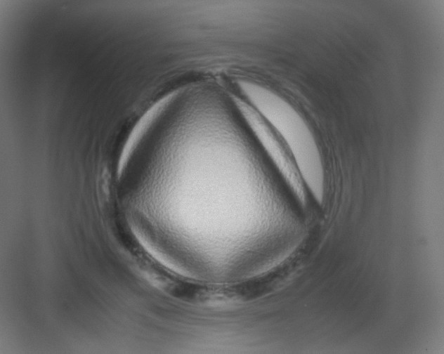 X0000081350597200702082256