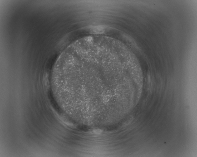 X0000081350598200702082256