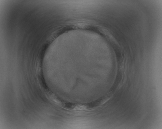 X0000081350599200702082256