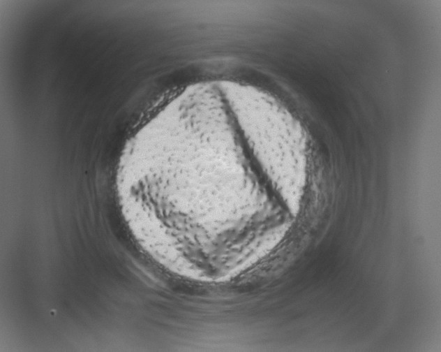 X0000081350601200702082256