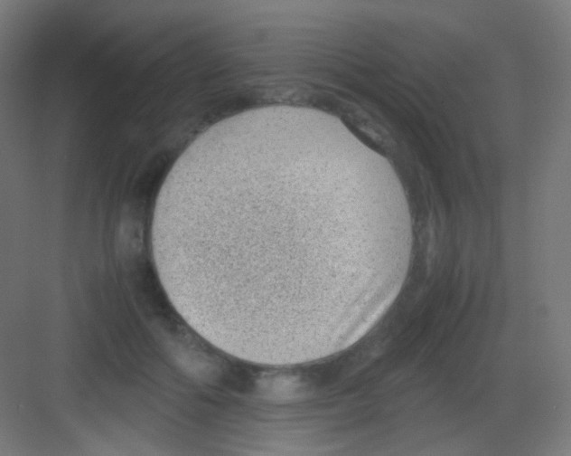 X0000081350602200702082256