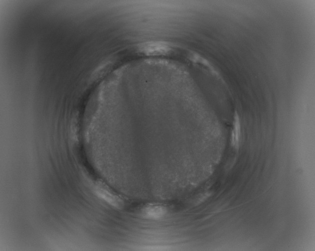 X0000081350604200702082256