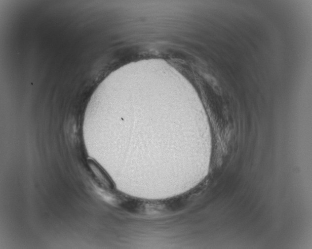 X0000081350605200702082256