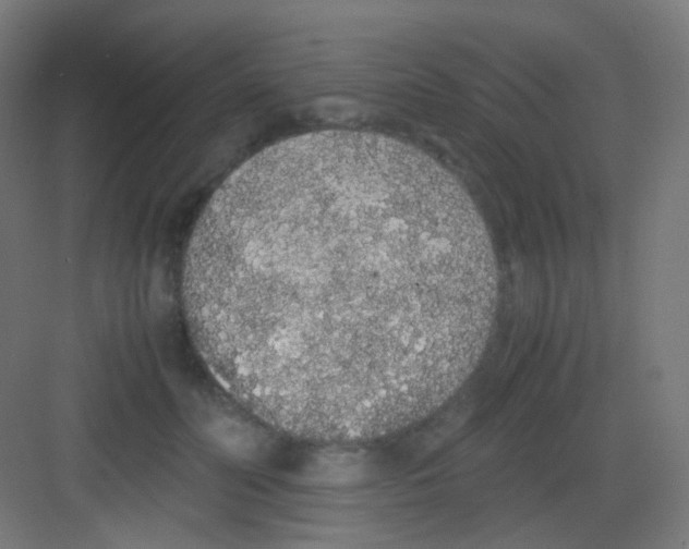 X0000081350606200702082256