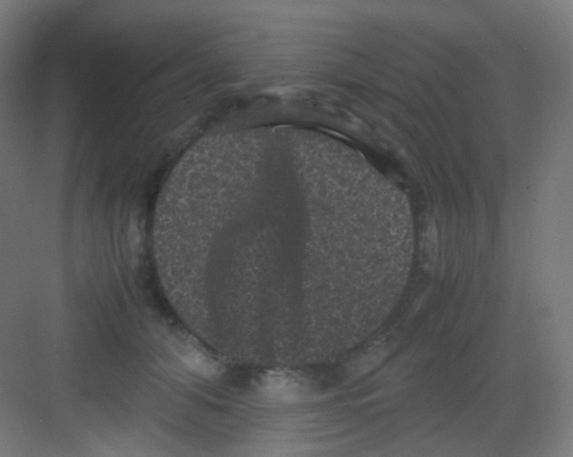 X0000081350608200702082256