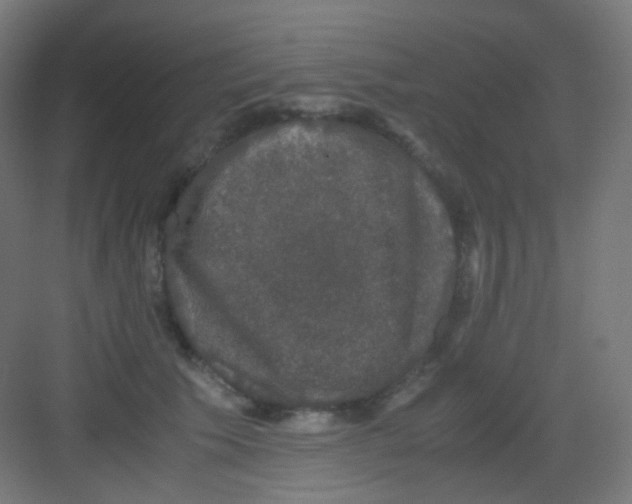 X0000081350609200702082256