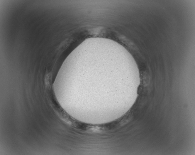 X0000081350611200702082256