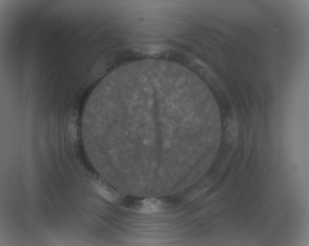 X0000081350612200702082256