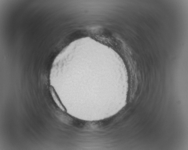 X0000081350613200702082256