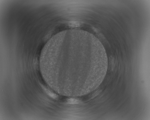 X0000081350614200702082256