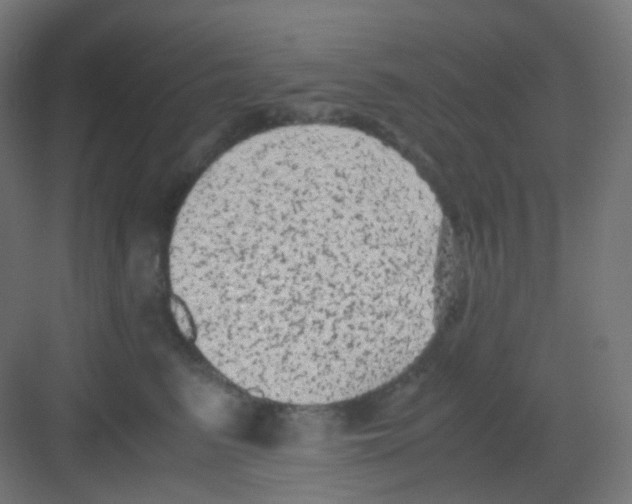 X0000081350615200702082256