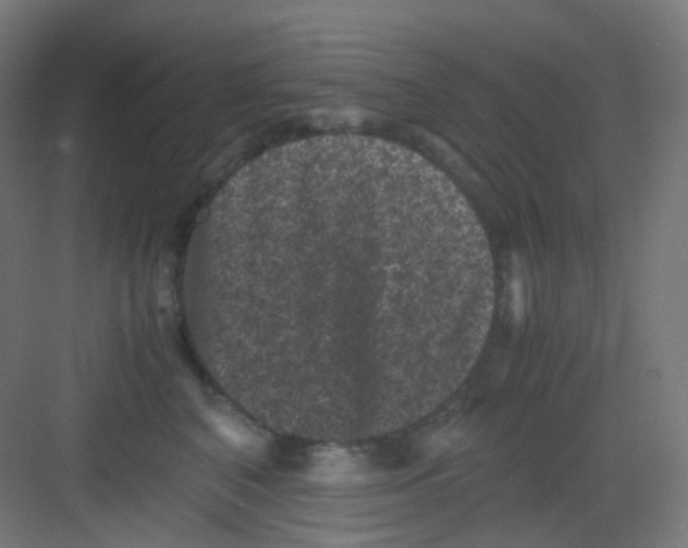 X0000081350616200702082256