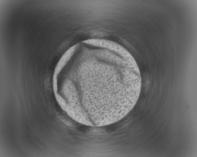 X0000081350619200702082256